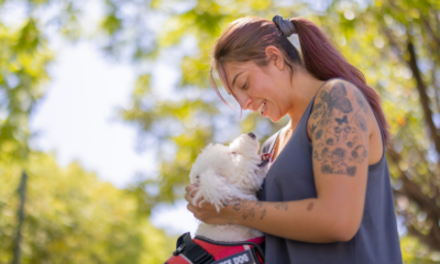What You Need to Know About ESA Dog Training